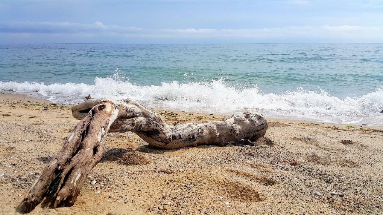 Silver Beach Delux Apartments Byala  Dış mekan fotoğraf